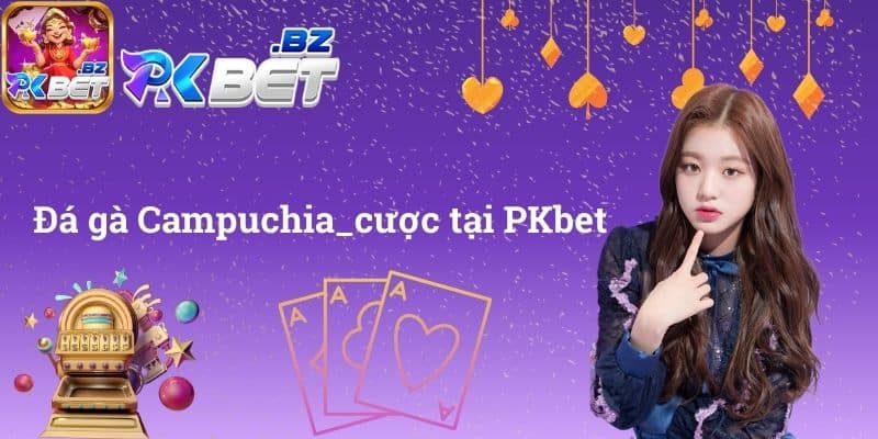 Đá gà Campuchia cược tại PKbet