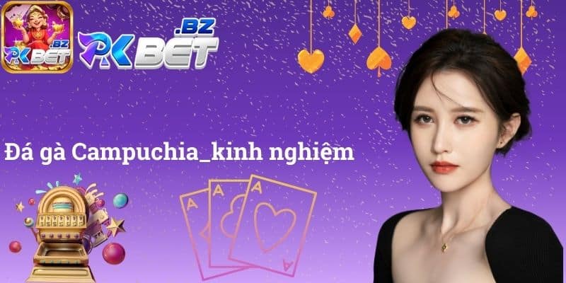 Đá gà Campuchia kinh nghiệm