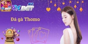 Đá gà Thomo