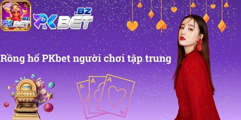 Rồng hổ PKbet người chơi tập trung