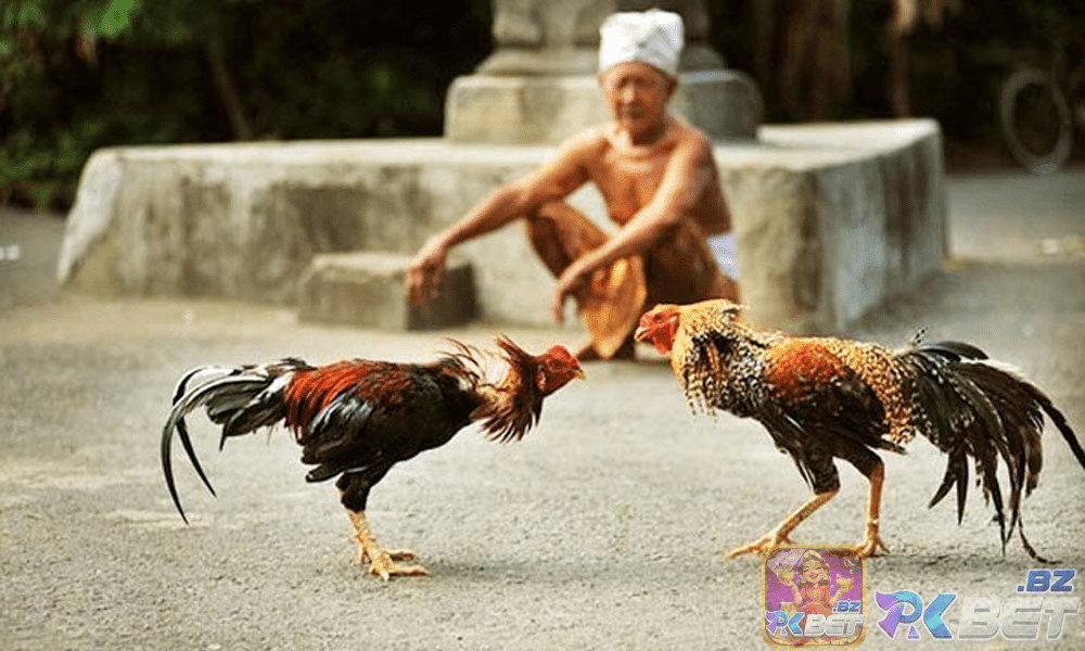 Tuyệt đối tuân thủ quyết định của trọng tài là quyết định cuối cùng dành cho chiến kê